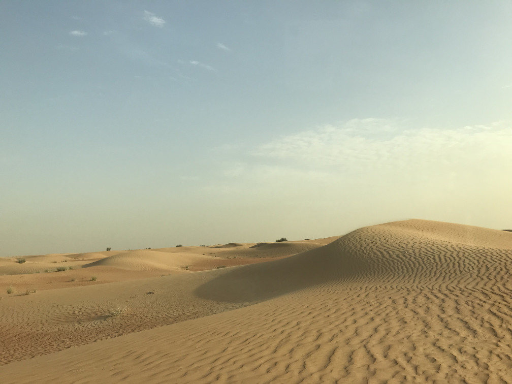 Desierto