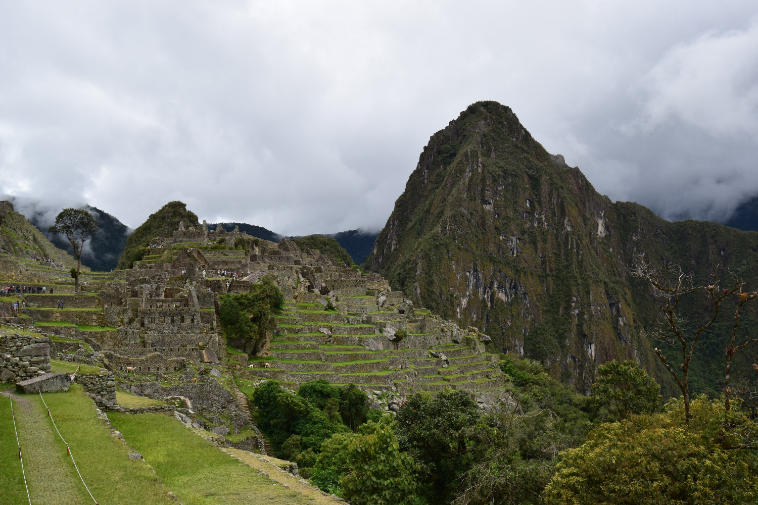 Machu Picchu