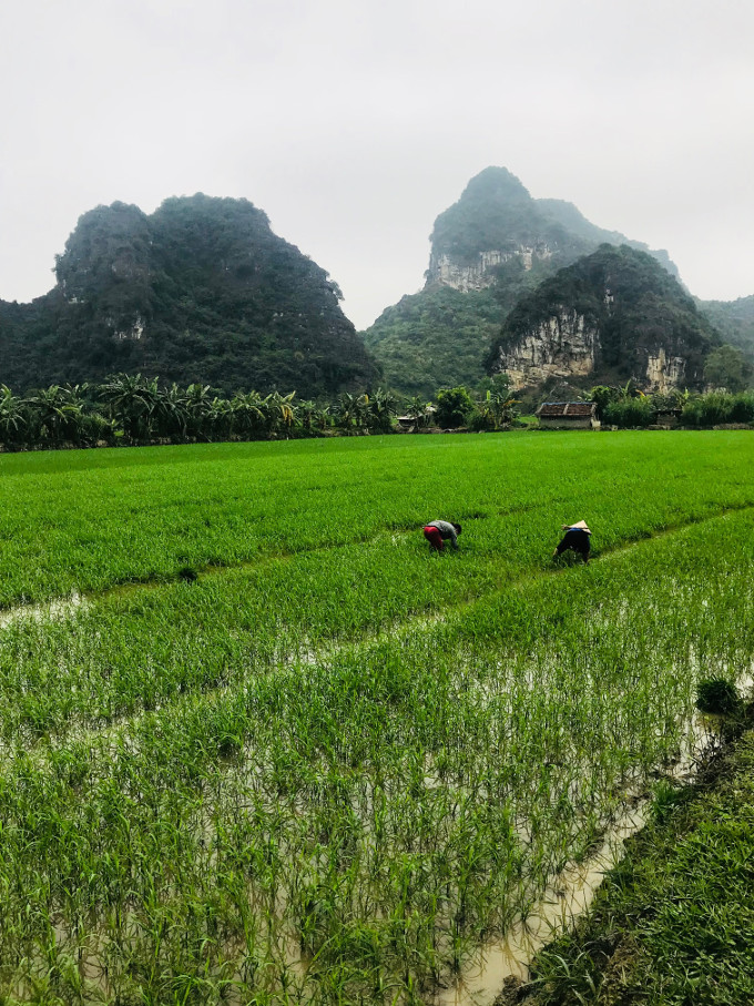 Ninh Binh