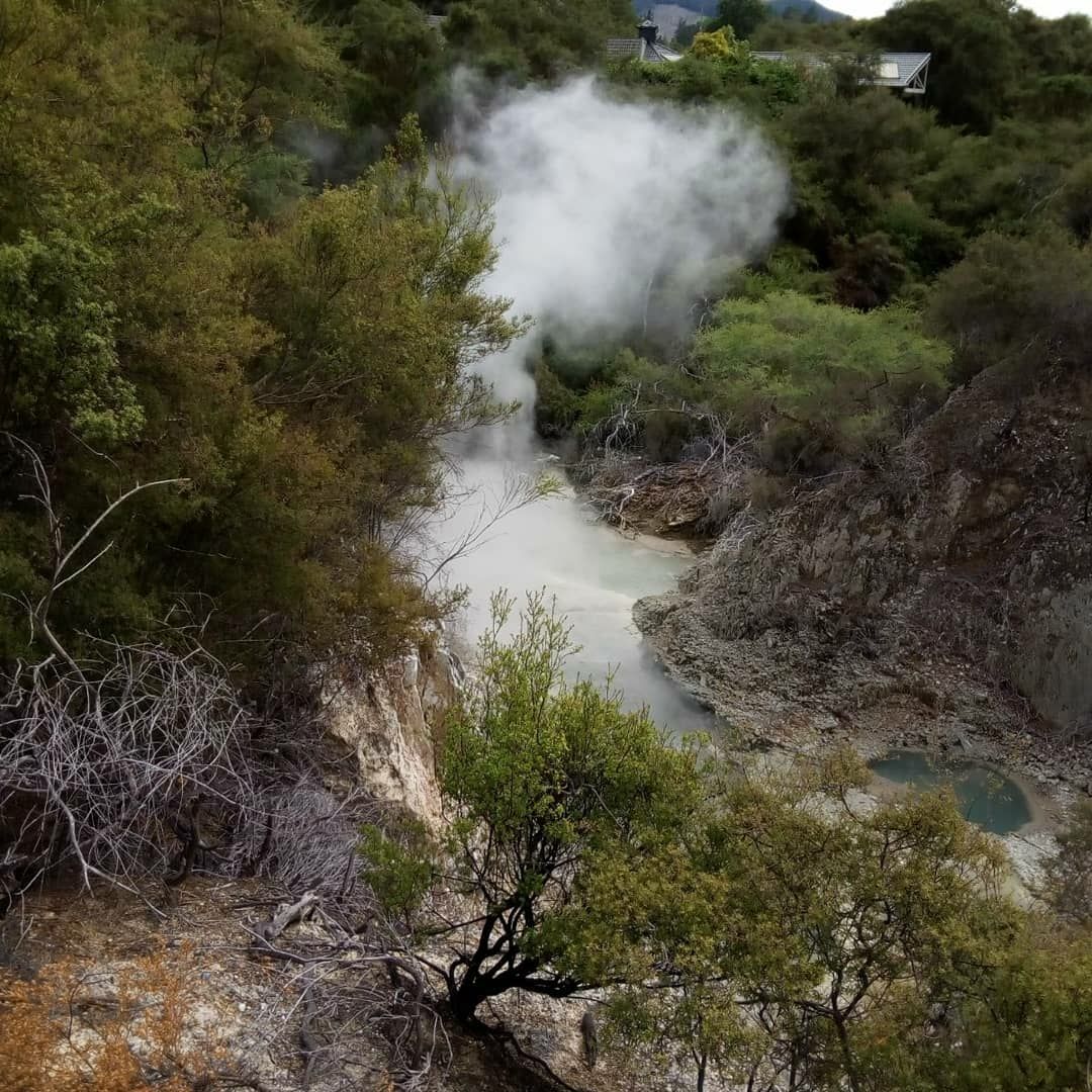 Wai-O-Tapu park