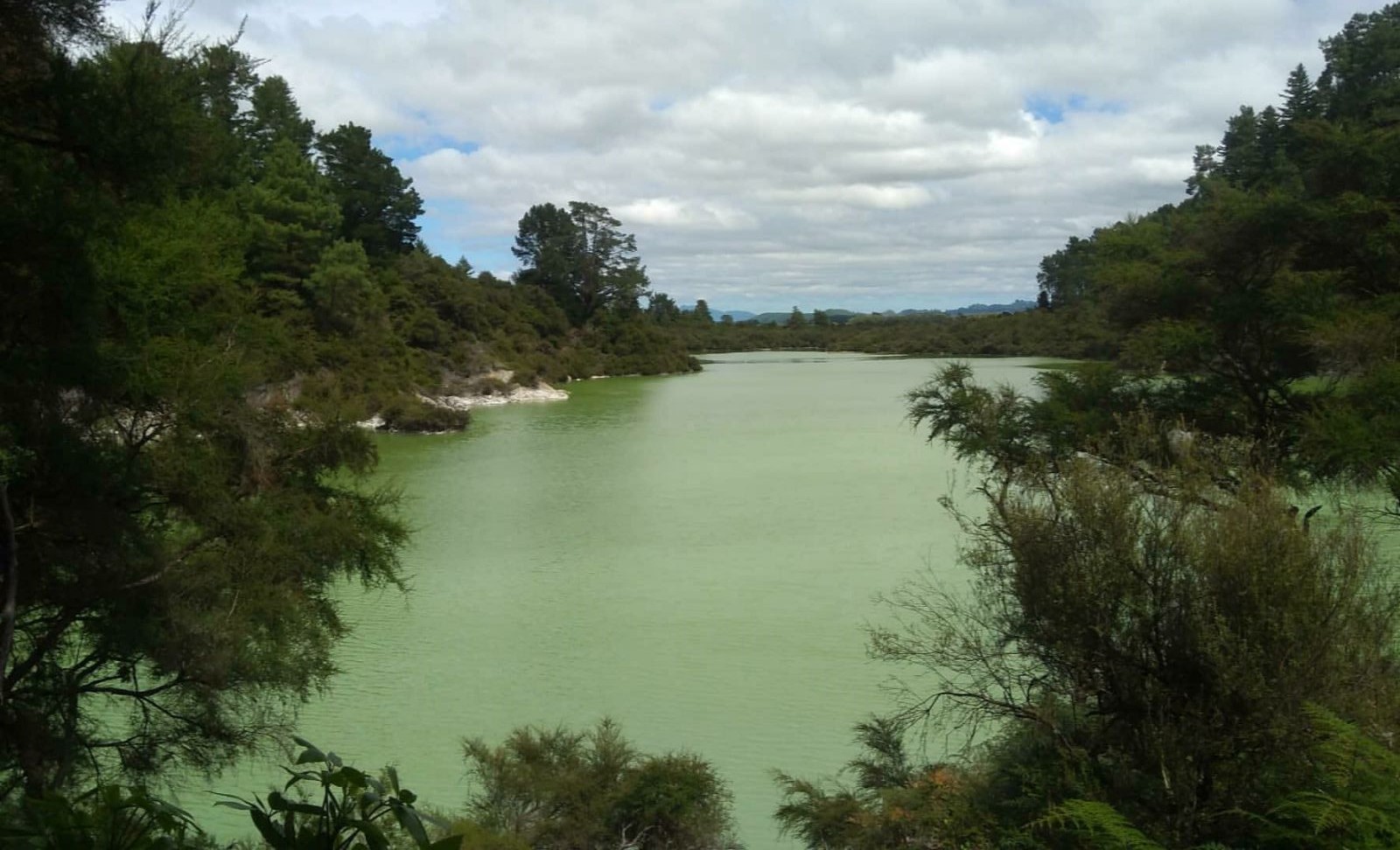 Wai-O-Tapu park 
