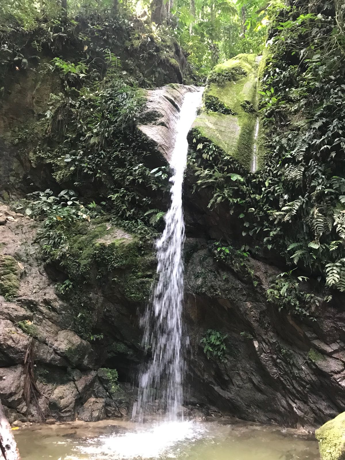 Cascadas Pimpilala, Tena, Amazonia